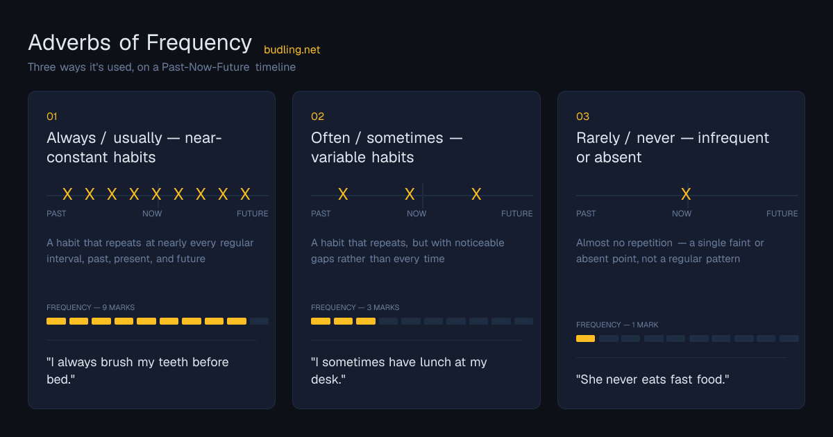 Adverbs of Frequency use cases on a Past-Now-Future timeline: Always / usually — near-constant habits, Often / sometimes — variable habits, Rarely / never — infrequent or absent