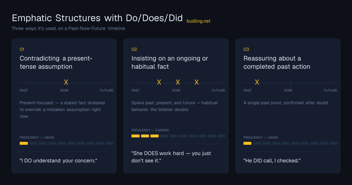 Emphatic Structures with Do/Does/Did use cases on a Past-Now-Future timeline: Contradicting a present-tense assumption, Insisting on an ongoing or habitual fact, Reassuring about a completed past action