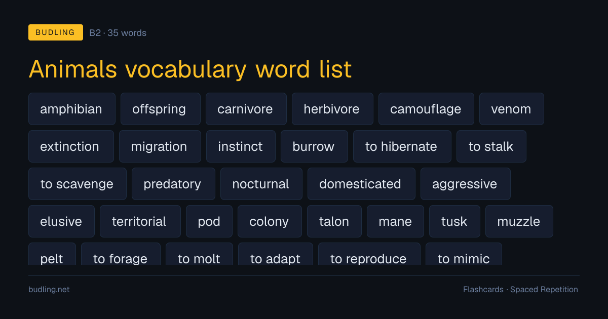 Animals vocabulary word list — 35 B2 English flashcards