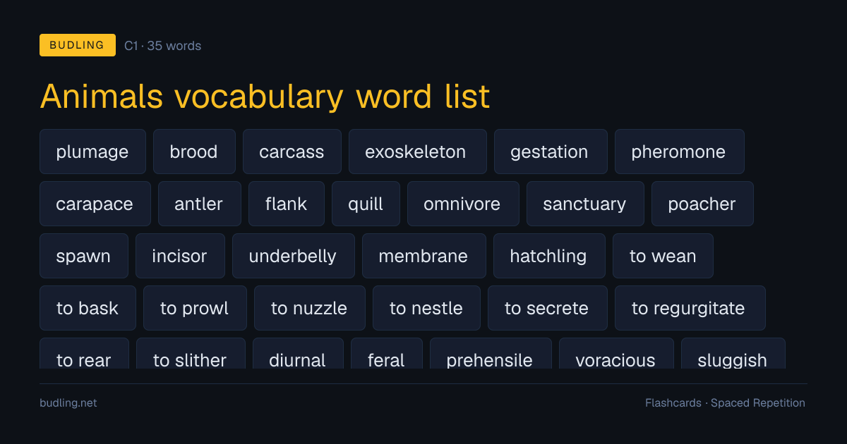 Animals vocabulary word list — 35 C1 English flashcards