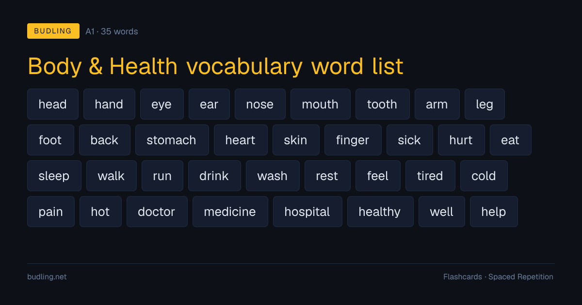 Body & Health vocabulary word list — 35 A1 English flashcards